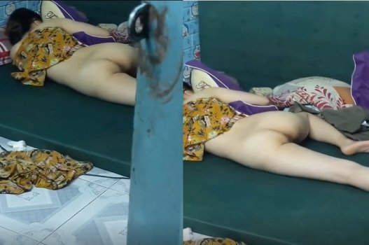 Quebrar e roubar borboletas dos vizinhos para dormir sem usar calças